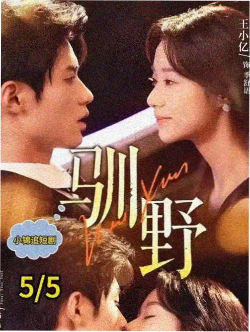 十二楼的夏天 无敌影院青春剧推荐